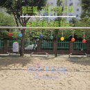 영동초등학교 티스토리