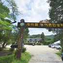 개미펜션 이미지