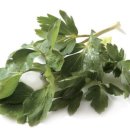 (주)성우식품 이미지