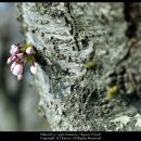 가천초등학교 이미지