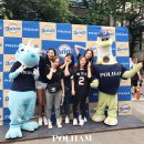 폴햄NC 이미지