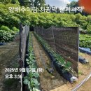 대건농장 이미지
