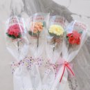 한송이유치원 이미지