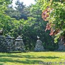 낙조보러가는길 이미지