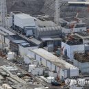부산지법, 후쿠시마 원전 오염수 방류 금지 소송 각하(종합) 이미지