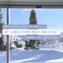 모리모헤어 | 통통녀 겨울코디 옷정보