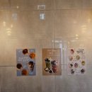 댕댕다방 이미지