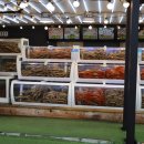 울진시장 1 | 울진 시장 맛집 울진 죽변 대게 맛집 대신 수율보장제하는 곳