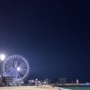 부디제주(스테이) 이미지