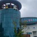 야간)꽃과 원예 | [진도] 쏠비치 근처 가볼만한 곳 : 진도개테마파크, 운림산림욕장 수국공원 야간개장