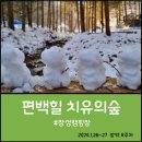 치유의숲 공중화장실 | [전남장박캠핑장] 장성 편백힐 치유의 숲 (장박 8주차)