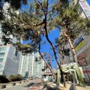 화서역파크뷰 | 수원 화서역파크뷰 인테리어 입주민 동의서 및 행위허가