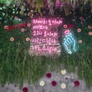 그린프로그천안
