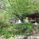 백혜경로당 이미지