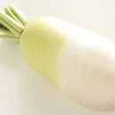 하마광고 이미지