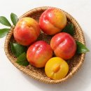 [토스쇼핑] 도담자두 왕자두 70g 내외 1kg, 1박스 / 12,900원 / 무료배송 이미지