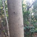 두송반도 이미지