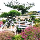 길안천 돌담집 이미지