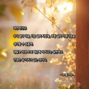 984 | 사랑 명상 984