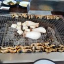 풍천가 서초 이미지