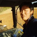 우리밀밭 이미지