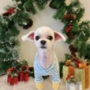 두리베어 이미지