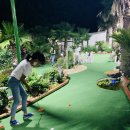 마로니에 미니골프 이미지