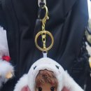 인형뽑기 마왕 이미지