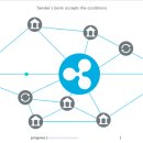 ﻿리플 Ripple (XRP)대 비트 코인 BTC– 차이점은 무엇입니까? 이미지