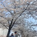두레공원 네이버블로그