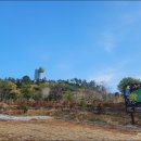 정남진테마숲 이미지