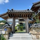 해바라기카페 | 경주 해바라기카페 바실라 솔직후기