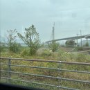 동양대학교 앞(평화로) 이미지