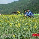 삼수동주민센터 이미지