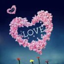 토요바이올린(오전) 이미지