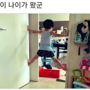 꼬꼬맘 이미지