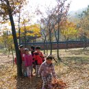 미추어린이집 이미지