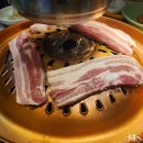 양촌리 티스토리