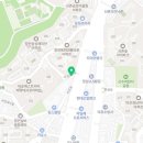 부산고양이분양 그린캣 이미지