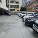 새봄약국 | 부산 장림 숨은 맛집 중화요리 전문점 원쉐프 내돈내산 후기
