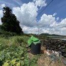 신효동-16 이미지