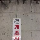 그라운딩 이미지