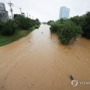 오산천 산책로 이미지