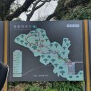 씨유성산일출봉점 | 제주도 뚜벅이 여자 혼자여행 Day3 (경비/여행코스/혼밥)feat.핫플투어