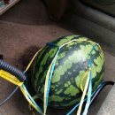 예곡경로당 이미지