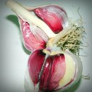 삼신농장 이미지