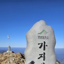 가지산약국 이미지