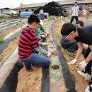 짱구농장 이미지