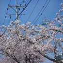 동해역 | 동해역 맛집 '우보' - 반찬까지 싹 비운 진한 두부찌개 혼밥 추천 후기