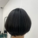 [세종 다정동] 그로잉살롱 두피클리닉 후기!!